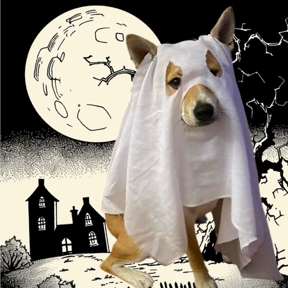 JESSBUYSANDGIVE LIVE SHARE SHOW NOTIFICATION 🔔 - Picture 8 of 13